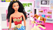 Cooking with WONDER WOMAN _ Making Doggy Biscuits w_ her Power Puppy _ BARBIE SUPERHERO EPISODES