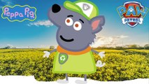 PEPPA PIG Transforms Into PAW PATROL Zuma & Rocky _ Fun Coloring Videos For Kids