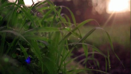 The upcoming extravaganza is going to be the focus of all attentions and admirations.