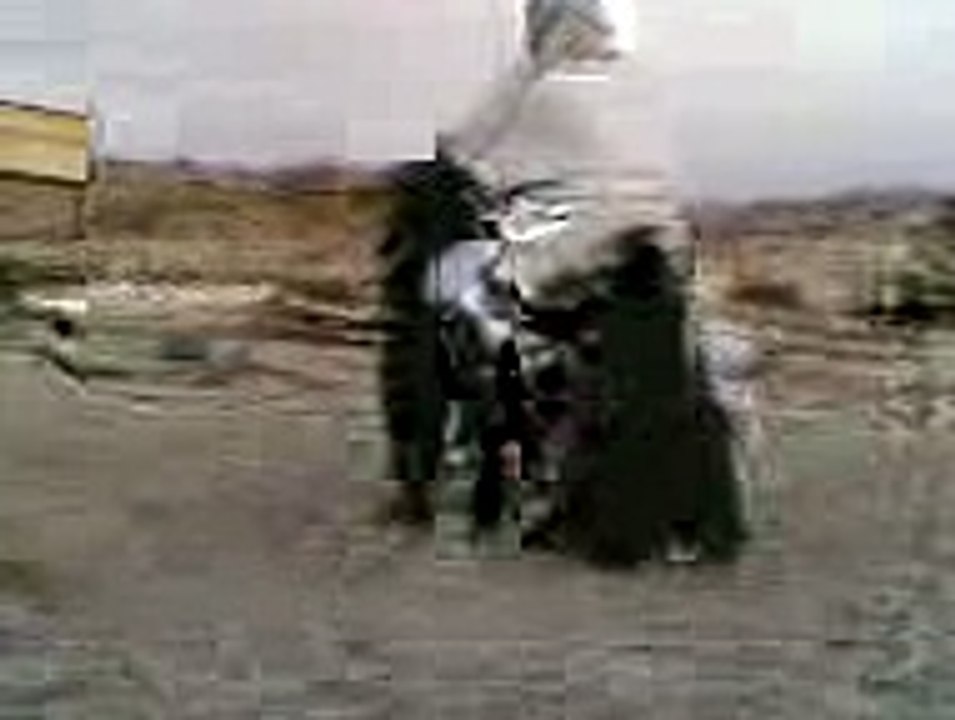 Bike Got and Man