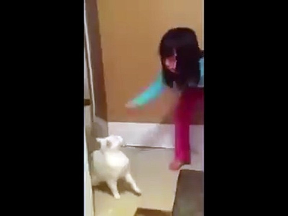 cat attack on baby