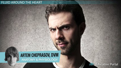 Pericardial Effusion: Causes & Treatment