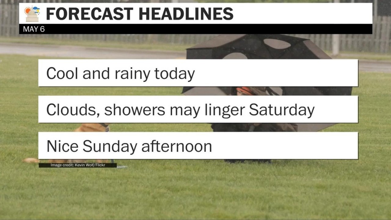 Cool and rainy today