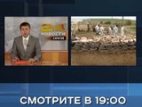 Анонс Новости 31 августа 19:00 на РЕН ТВ-Саратов