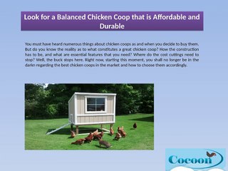Look for a Balanced Chicken Coop that is Affordable and Durable