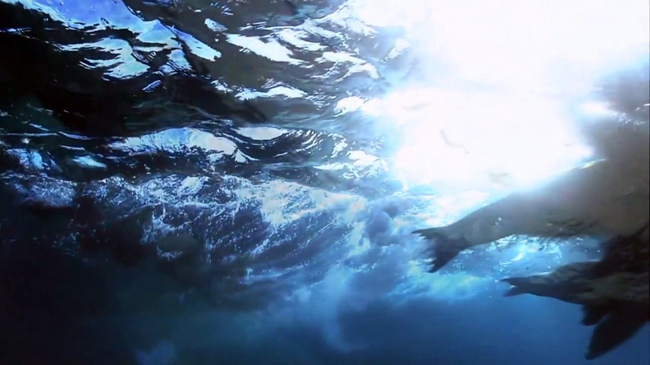 [Beautiful Nature Music Video] Oxygene ~ The Ocean (Terminija Extended Remix)