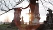 Graves In a Very Old Cemetery - Stock Footage | VideoHive 15411024