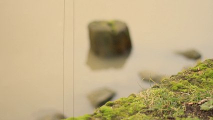 L'eau partout dans la  nature Érik satie (Gymnopédie)