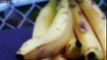 Ce qu'on peut trouver dans des bananes de supermarché : flippant