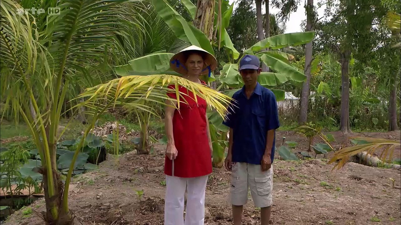 Sarah Wiener en Asie - Les rouleaux de printemps au Vietnam