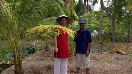 Sarah Wiener en Asie - Les rouleaux de printemps au Vietnam