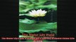 Read here The Water Lily Pond A Village Girls Journey in Maoist China Life Writing
