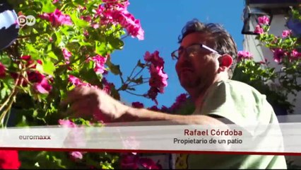 La fiesta de los patios en Córdoba | Euromaxx