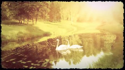 Холодов Павел - Последний бой