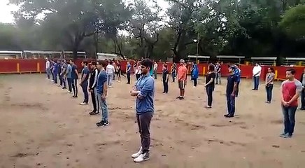 Taureau dans une arène vs Etudiants immobiles