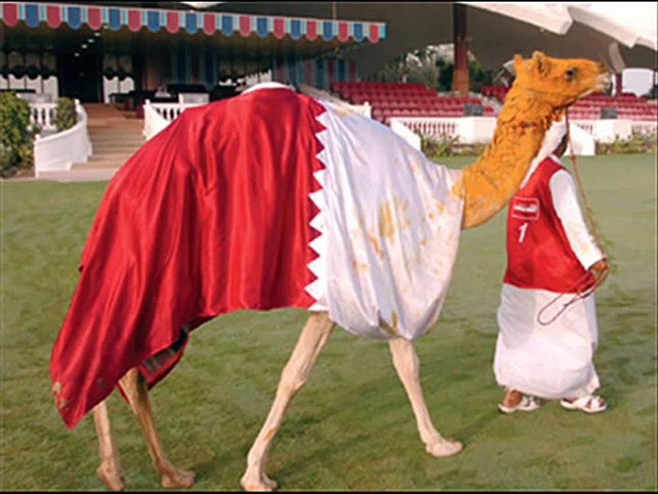 قطر العز