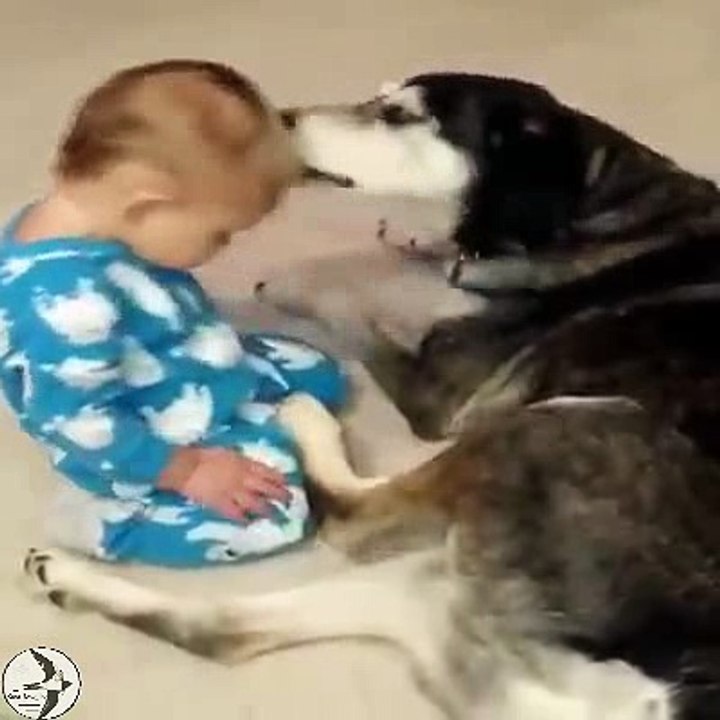 funny baby 2016