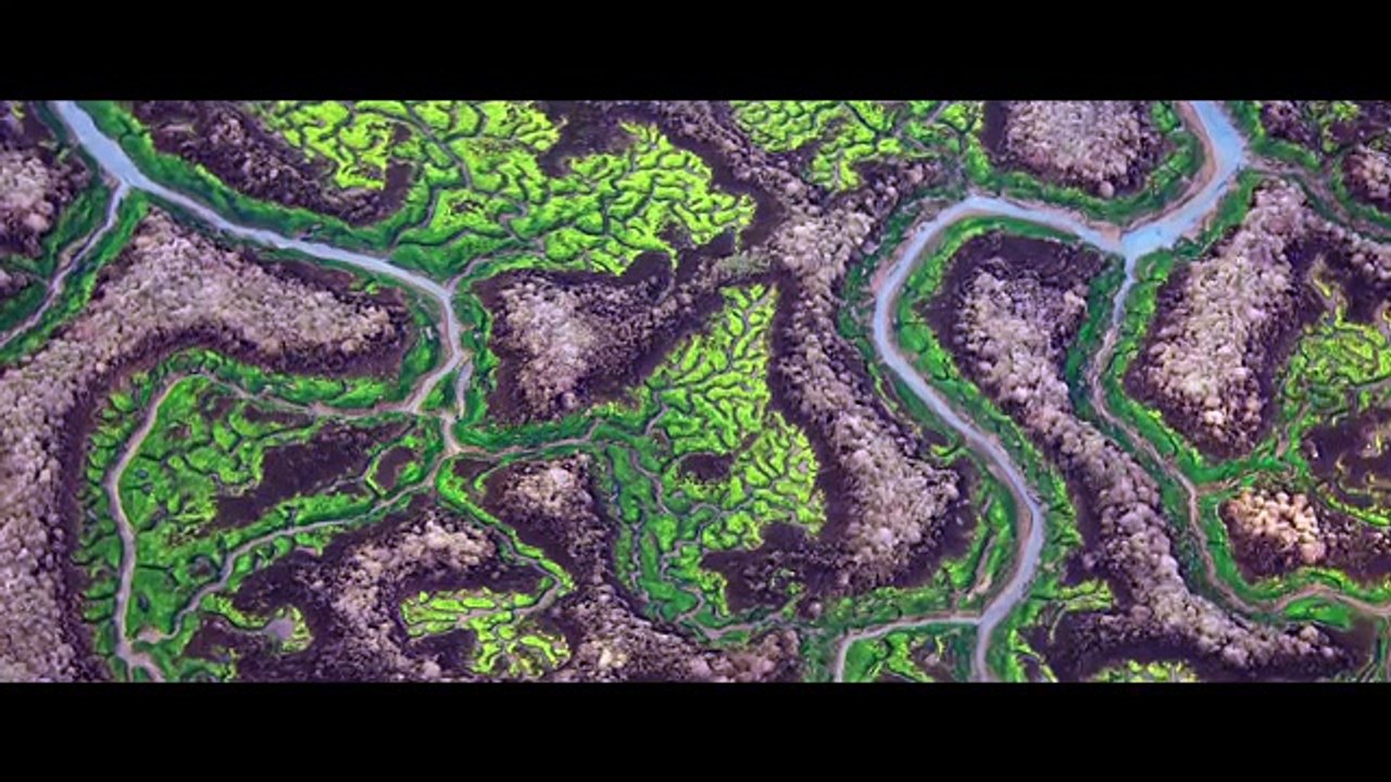 La Isla mínima