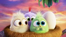 The Angry Birds Movie VIRAL VIDEO - Hatchlings Mothers Day (2016) - Jason Sudeikis Movie HD