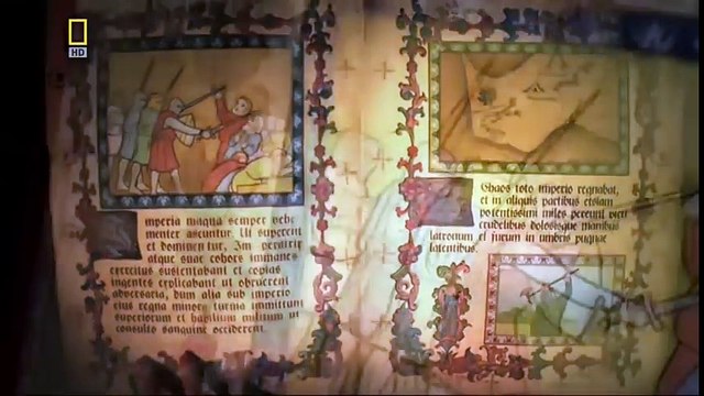 War of Insects ~ National Geographic Documentary