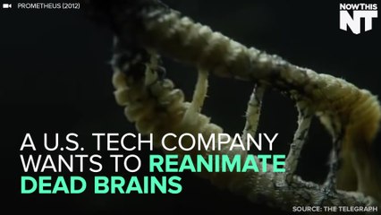 This Tech Company Wants To Reanimate Dead Brains