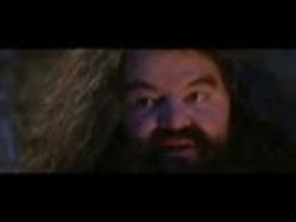 ur wizard