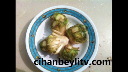 Kenger(Karang) Hakkında Bunları Biliyor Muydunuz?