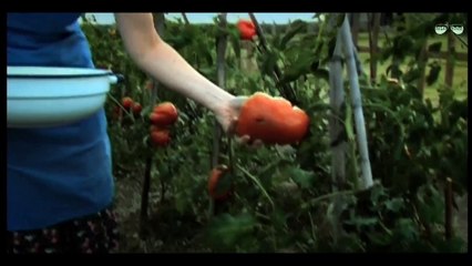 Hollywood Horror Movies 2016 | Vethalam | English to Tamil dubbed movie | Full HD