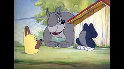 Did Tom and Jerry Kill Themselves Nostalgia