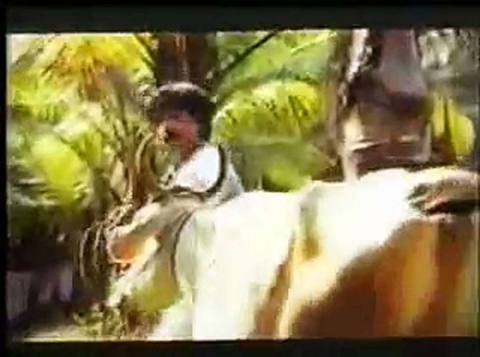 ANDOLANAM