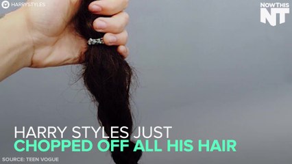 Let's All Shed A Tear For Harry Styles' Hair
