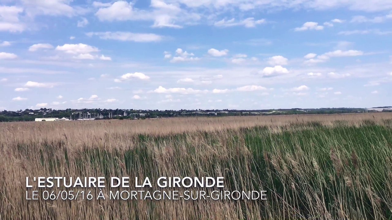 L'estuaire de la Gironde