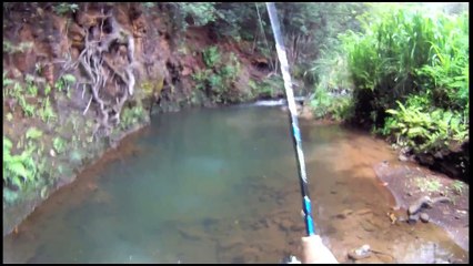 Small Stream Smallies by Mark White Lures