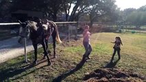 Le Bambine Iniziano Un Ballo Scatenato... La Reazione Del Cavallo è Imperdibile!