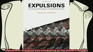 new book  Expulsions Brutality and Complexity in the Global Economy