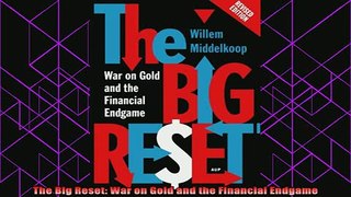 best book  The Big Reset War on Gold and the Financial Endgame