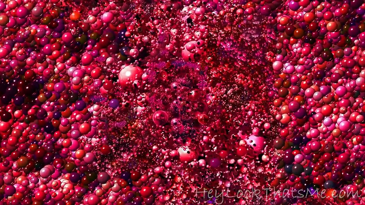 Zoom sur l'univers intérieur