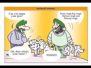 Will 'Sardar Jokes' be stopped?