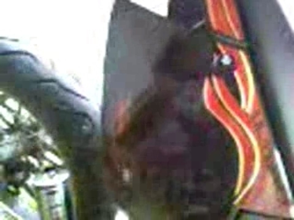 Bruit de ma cpi avec mon pot scr