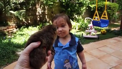 Little girl doesn't want to meet hyrax