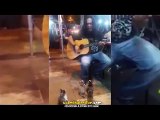 Kasap Vitrinine Bakar Gibi Gitar Çalan Adama Kitlenmiş Kediler