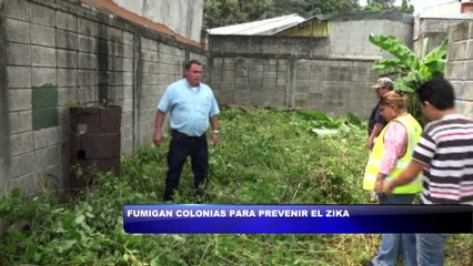 Fumigan colonias para prevenir el Zika