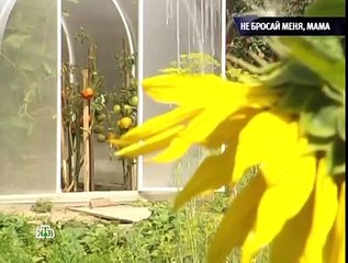 Русские Сенсации Не бросай меня, мама!