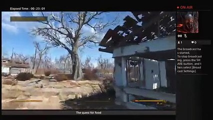 Wasteland savage (12)