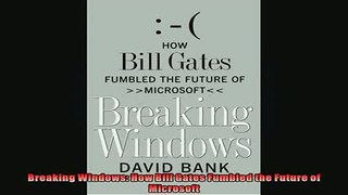 Free PDF Downlaod  Breaking Windows How Bill Gates Fumbled the Future of Microsoft  DOWNLOAD ONLINE