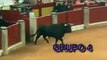 concurso de recortes de toros zaragoza el pilar (12 10 08)