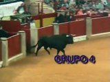 concurso de recortes de toros zaragoza el pilar (12 10 08)