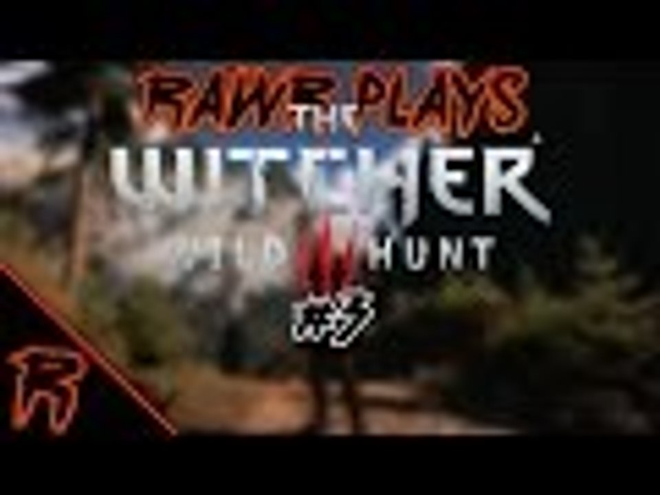 Rawr Plays: The Witcher #3