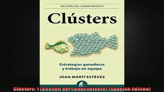 EBOOK ONLINE  Clústers 1 Gestión del conocimiento Spanish Edition  BOOK ONLINE