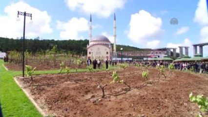 İstanbul'un En Büyük "Meyve Bahçesi" Beykoz'da Açıldı